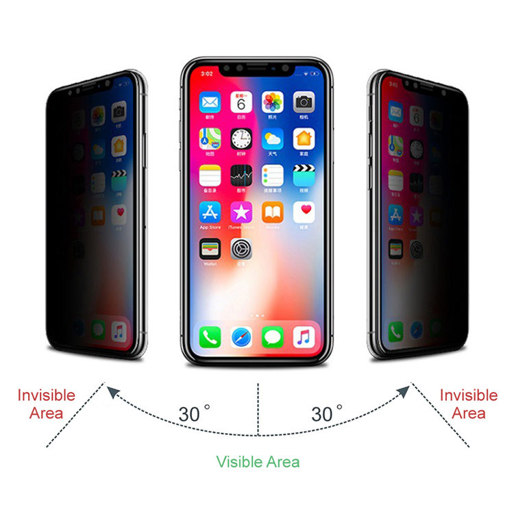 Dlix 3D privacy full cover tempered glass screen protector for Apple iPhone 11 Pro / Xs